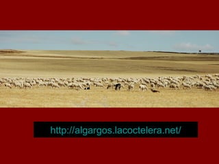 https://algargosgeoespain.blogspot.com.es/
 