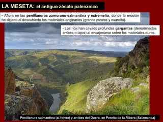LA MESETA: el antiguo zócalo paleozoico
- Aflora en las penillanuras zamorano-salmantina y extremeña, donde la erosión
ha dejado al descubierto los materiales originarios (granito pizarra y cuarcita).
- Los ríos han cavado profundas gargantas (denominadas
arribes o tajos) al encajonarse sobre los materiales duros.
Penillanura salmantina (al fondo) y arribes del Duero, en Pereña de la Ribera (Salamanca)
 