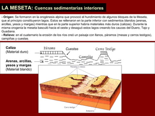 LA MESETA: Cuencas sedimentarias interiores
- Origen: Se formaron en la orogénesis alpina que provocó el hundimiento de algunos bloques de la Meseta,
que al principio constituyeron lagos. Estos se rellenaron en la parte inferior con sedimentos blandos (arenas,
arcillas, yesos y margas) mientras que en la parte superior habría materiales más duros (calizas). Durante la
misma orogenia la meseta basculó hacia el oeste y desaguó estos lagos creando los cauces del Duero, Tajo y
Guadiana.
- Relieve: en el cuaternario la erosión de los ríos creó un paisaje con llanos, páramos (mesas y cerros testigos),
campiñas y cuestas.
CuestasCaliza
(Material duro)
Arenas, arcillas,
yesos y margas
(Material blando)
 