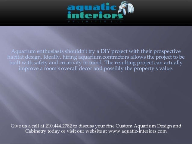 92 Aquarium Habitat Design Project Gratis Terbaik