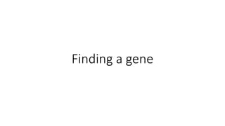 Finding a gene
 
