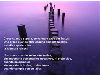 Crece cuando supera, se valora y sabe dar frutos. Uno crece cuando abre camino dejando huellas, asimila experiencias... ¡Y siembra raíces! Uno crece cuando se impone metas, sin importarle comentarios negativos, ni prejuicios, cuando da ejemplos sin importarle burlas, ni desdenes, cuando cumple con su labor. 