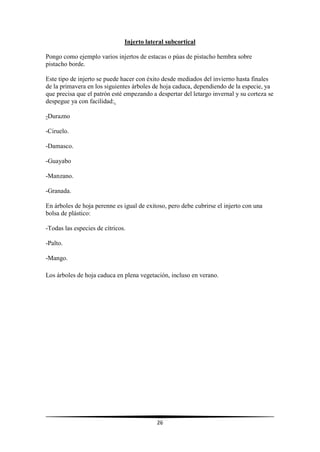 26
Injerto lateral subcortical
Pongo como ejemplo varios injertos de estacas o púas de pistacho hembra sobre
pistacho borde.
Este tipo de injerto se puede hacer con éxito desde mediados del invierno hasta finales
de la primavera en los siguientes árboles de hoja caduca, dependiendo de la especie, ya
que precisa que el patrón esté empezando a despertar del letargo invernal y su corteza se
despegue ya con facilidad:.
-Durazno
-Ciruelo.
-Damasco.
-Guayabo
-Manzano.
-Granada.
En árboles de hoja perenne es igual de exitoso, pero debe cubrirse el injerto con una
bolsa de plástico:
-Todas las especies de cítricos.
-Palto.
-Mango.
Los árboles de hoja caduca en plena vegetación, incluso en verano.
 