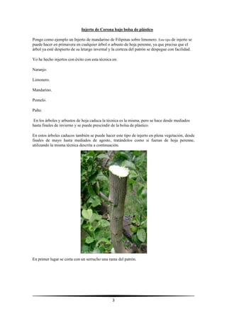 3
Injerto de Corona bajo bolsa de plástico
Pongo como ejemplo un Injerto de mandarino de Filipinas sobre limonero. Este tipo de injerto se
puede hacer en primavera en cualquier árbol o arbusto de hoja perenne, ya que precisa que el
árbol ya esté despierto de su letargo invernal y la corteza del patrón se despegue con facilidad.
Yo he hecho injertos con éxito con esta técnica en:
Naranjo.
Limonero.
Mandarino.
Pomelo.
Palto.
En los árboles y arbustos de hoja caduca la técnica es la misma, pero se hace desde mediados
hasta finales de invierno y se puede prescindir de la bolsa de plástico.
En estos árboles caducos también se puede hacer este tipo de injerto en plena vegetación, desde
finales de mayo hasta mediados de agosto, tratándolos como si fueran de hoja perenne,
utilizando la misma técnica descrita a continuación.
En primer lugar se corta con un serrucho una rama del patrón.
 