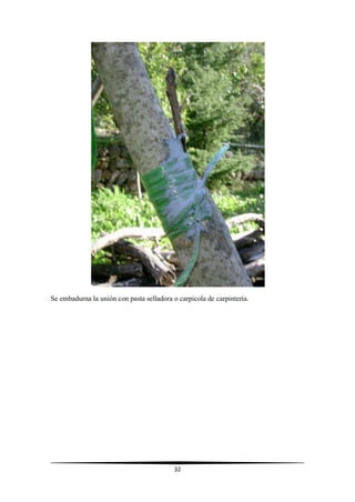 32
Se embadurna la unión con pasta selladora o carpicola de carpintería.
 