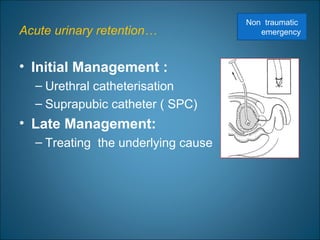 Acute urinary retention…
• Initial Management :
– Urethral catheterisation
– Suprapubic catheter ( SPC)
• Late Management:
– Treating the underlying cause
Non traumatic
emergency
 