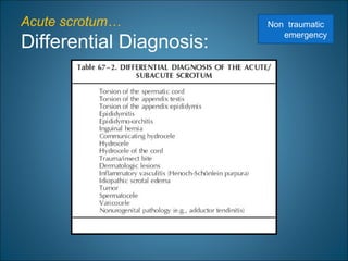 Acute scrotum…
Differential Diagnosis:
Non traumatic
emergency
 