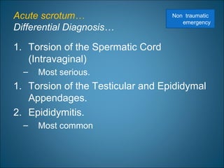 Acute scrotum…
Differential Diagnosis…
1. Torsion of the Spermatic Cord
(Intravaginal)
– Most serious.
1. Torsion of the Testicular and Epididymal
Appendages.
2. Epididymitis.
– Most common
Non traumatic
emergency
 