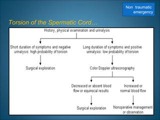 Torsion of the Spermatic Cord…
Non traumatic
emergency
 