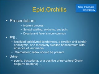 Epid.Orchitis
• Presentation:
– Indolent process.
– Scrotal swelling, erythema, and pain.
– Dysuria and fever is more common
• P/E :
– localized epididymal tenderness, a swollen and tender
epididymis, or a massively swollen hemiscrotum with
absence of landmarks.
– Cremasteric reflex should be present
• Urine:
– pyuria, bacteriuria, or a positive urine culture(Gram-
negative bacteria) .
Non traumatic
emergency
 