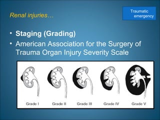 Renal injuries…
• Staging (Grading)
• American Association for the Surgery of
Trauma Organ Injury Severity Scale
Traumatic
emergency
 