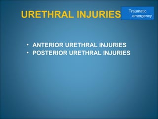 URETHRAL INJURIES
• ANTERIOR URETHRAL INJURIES
• POSTERIOR URETHRAL INJURIES
Traumatic
emergency
 