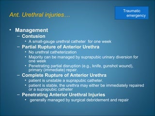 Ant. Urethral injuries…
• Management
– Contusion
• A small-gauge urethral catheter for one week
– Partial Rupture of Anterior Urethra
• No urethral catheterization
• Majority can be managed by suprapubic urinary diversion for
one week
• Penetrating partial disruption (e.g., knife, gunshot wound),
primary (immediate) repair.
– Complete Rupture of Anterior Urethra
• patient is unstable a suprapubic catheter.
• patient is stable, the urethra may either be immediately repaired
or a suprapubic catheter
– Penetrating Anterior Urethral Injuries
• generally managed by surgical debridement and repair
Traumatic
emergency
 