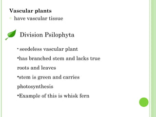 Vascular plants   have vascular tissue  Division Psilophyta seedeless vascular plant has branched stem and lacks true roots and leaves stem is green and carries photosynthesis Example of this is whisk fern 