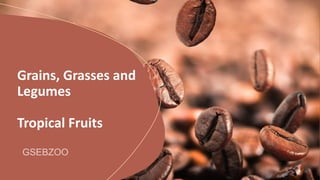 Grains, Grasses and
Legumes
Tropical Fruits
 