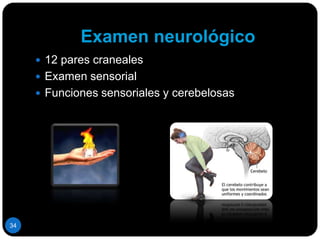 Historia social y vocacionalEvalúa el medio ambiente y proporciona una visión de la estructura psicológica del paciente.SOCIAL: Dependencia para la realización de cuidados personales básicos, o pérdida del empleo; afecta el núcleo familiar.VOCACIONAL: enfermedad puede conducir a incapacidad para trabajar.25