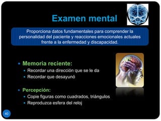 Sistema cardiovascular31