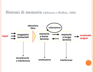 Sistemi di memoria (Atkinson e Shiffrin, 1968)

attenzione
filtro

input

reiterazione

magazzini
sensoriali

memoria
a breve
termine

memoria
a lungo
termine

decadimento
e interferenza

sostituzione

interferenza

eventuale
output

 