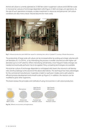 8 18-1140-62 AC
Animal cell culture is currently operated at 15 000 liter scale in suspension cultures and 6 000 liter scale
in microcarrier cultures of anchorage-dependent cells (Figure 2). Both are large unit operations. As
the size of such operations increases, so does investment in resources and personnel. Cell culture
conditions are also more critical. Failures become far more costly.
Fig. 2. Influenza production plant (6000 liter vessel for cultivating Vero cells on Cytodex™). Courtesy of Baxter Biosciences.
The productivity of large-scale cell culture can be increased either by scaling up to larger volumes with
cell densities of 2–3×106/mL, or by intensifying the process in smaller volumes but with higher cell
densities (up to 2×108 cells/mL). When intensifying cell densities, more frequent media changes are
needed and eventually perfusion has to be applied. Many competing technologies are available.
Microcarrier culture of anchorage-dependent or entrapped cells lowers the volume to cell density
ratio and thus belongs to the second of the above alternatives. This technique has many advantages
for the commercial manufacturer. It operates in batch or perfusion modes and is well suited to
efficient process development and smooth scale-up (Figure 3). In addition, the reactors can be
modified to grow other organisms.
This book reviews the principles and methods of using microcarriers in cell culture production.
Fig. 3A. Different microcarriers and applications.
 
