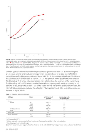 102 18-1140-62 AC
Fig. 64. Effect of control of pH on the growth of monkey kidney cells (Vero) in microcarrier cultures. Cultures (400 mL) were
contained in sealed spinner vessels and stirred continuously at 50 rpm. Culture medium (DME, based on Earle’s salt solution) was
with (— —) or without (— —) 10 mM HEPES. The pH of the medium without HEPES was initially 7.4 but varied between 7.0 and 8.0
during the culture cycle. The pH of the medium containing HEPES was maintained at 7.3–7.4. The culture medium was changed on
day 4. The difference in cell yields was largely due to a higher proportion of empty microcarriers in the culture without pH control.
(From Pharmacia Biotech AB, Uppsala, Sweden.)
Different types of cells may have different pH optima for growth (229, Table 17). By maintaining the
pH at a level optimal for growth, serum requirement can be reduced by at least one half (228). In
general, human fibroblasts are grown at a higher pH (7.6–7.8) than established cells (pH 7.0–7.4), and
it is usual to culture primary cells at a pH of 7.2–7.4. The optimum pH for growth of human foreskin
fibroblasts (e.g. FS-4) at low culture densities is more alkaline than the optimum pH for human lung
fibroblasts (e.g. MRC-5, 230). When culturing these cells during the growth phase at a density of 105
cells/mL or less, the pH should be 7.7–7.8 for FS-4 cells and 7.5–7.6 for MRC-5 cells. For CHO cells, it is
normally advantageous to cultivate the cells at pH 7 during attachment. After several hours, you can
increase to higher values.
Table 17. The effect of pH on cell growth
Cell type	 Strain	 pH for optimal	 Increased growth
			 growtha	 at optimal pHb
Human
	Normal	 KL2	7.5–7.7c	3.2
		 MS2A	 7.6	 1.9
		 Penny	 7.5–7.8c	2.1
		 WI38	 7.8	 2.6
	 SV 40-transformed	 WI26VA	 7.3–7.5c	1.2
	tumor	 HeLa	 7.0	 1.3
Rabbit lens		 6.9	 3.7
Mouse fibroblasts	 3T3	 7.5–7.8c	1.8
		 L929	 7.0–7.5c	1.0
a pH measured at 25 °C
b Relative to growth in bicarbonate-buffered medium, pH fluctuates from pH 8 to 7 after each refeeding.
c Essentially equal over indicated range.
(Data from Ceccarini, C., and Eagle, H., Proc. Nat. Acad. Sci. US 68, 229–233 (1971) by kind permission of the authors and publisher.)
Days
1 3 5 7
Cells/mL
10
4
5
10
6
10
7
10
 