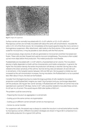 110 18-1140-62 AC
Fig. 67. Single-cell suspension.
Surface carriers are normally inoculated with 0.5–2×105 cells/mL or 0.5–2×104 cells/cm2.
Macroporous carriers are normally inoculated with about the same cell concentrations. Inoculate the
cells in 1/3–1/2 of the final volume. Stir immediately at the lowest speed to keep the micro-carriers in
homogeneous suspension. After attachment, add media to the final volume. If the vessel is very well
suited for microcarriers, it may be possible to start directly with the final volume.
In some processes, large volumes of cells are generated on microcarriers and then harvested and
frozen. These cells are later thawed and used as inoculum straightaway. The process is then scaled
up two more steps before final production. This makes production more flexible.
Fluidized beds are inoculated with 1–2×106 cells/mL of packed bed carrier volume. The inoculation
density is highly dependent on both cell line characteristics and media composition. In general, the
higher the inoculation density the earlier the production cell density is reached. Stirring rate is also
related to the shear sensitivity of the cell line. Normal stirring rates are between 20 and 100 rpm
in stirred tank, in the Cytopilot reactor between 100 and 300 rpm. Stirring speed is initially low and
increased as the cell concentration increases. During inoculation, the fluidized bed is run as a packed
bed. After about 5 hours, the bed can be fluidized.
Consider from the beginning how to create the large quantities of cells needed to inoculate a
production-scale fluidized bed. Imagine you need 1 kg of product and your anchorage-dependent
cell line produces 100 mg per liter carrier and day. A fluidized bed with 100 liters of carriers has to be
operated over a period of 100 days. Some 2×1011 cells would be needed to inoculate these carriers
(2×106 per mL of carrier). This would require 2000 roller bottles of 850 cm2.
The problem could be overcome by:
– Preparing the inoculum as aggregates in a stirred tank
– Scaling up on the same carriers via trypsinization
– Scaling up on different carriers (smooth carriers to macroporous)
– Carrier-to-carrier transfer
For suspension cells, the easiest way is always to create the inoculum in stirred tanks before transfer
to macroporous carriers. Different inoculation strategies are shown in Figure 68 in comparison to a
roller bottle production for a typical CHO cell line.
 
