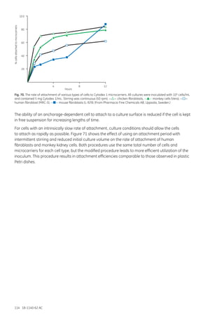 114 18-1140-62 AC
%cellsattachedtomicrocarriers
20
40
60
80
10 0
Hours
4 8 12
Fig. 70. The rate of attachment of various types of cells to Cytodex 1 microcarriers. All cultures were inoculated with 105 cells/mL
and contained 5 mg Cytodex 1/mL. Stirring was continuous (50 rpm). — — chicken fibroblasts, — — monkey cells (Vero), — —
human fibroblast (MRC-5), — — mouse fibroblasts (L-929). (From Pharmacia Fine Chemicals AB, Uppsala, Sweden.)
The ability of an anchorage-dependent cell to attach to a culture surface is reduced if the cell is kept
in free suspension for increasing lengths of time.
For cells with an intrinsically slow rate of attachment, culture conditions should allow the cells
to attach as rapidly as possible. Figure 71 shows the effect of using an attachment period with
intermittent stirring and reduced initial culture volume on the rate of attachment of human
fibroblasts and monkey kidney cells. Both procedures use the same total number of cells and
microcarriers for each cell type, but the modified procedure leads to more efficient utilization of the
inoculum. This procedure results in attachment efficiencies comparable to those observed in plastic
Petri dishes.
 