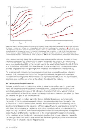 116 18-1140-62 AC
Monkey kidney cells (Vero)
1 13 35 57 7
DaysDays
9
Human fibroblasts (MRC-5)
10
4
5
10
6
10
7
10Cells/mL
10
4
5
10
6
10
7
10
Cells/mL
Fig. 72. The effect of inoculation density and initial culture procedure on the growth of monkey kidney cells and human fibroblasts
on Cytodex 1 microcarriers. Cultures were inoculated with cells and stirred immediately in the final volume (— —, 60 rpm) or were
cultured in a reduced volume during the attachment stage of culture (— —). The modified initial culture procedure (— —) involved
stirring for 1 min (30 rpm) every 60 min in 1/3 of the final culture volume. After 4 h (Vero) or 6 h (MRC-5) the culture was diluted
to the final volume and stirred (60 rpm). All cultures contained 3 mg Cytodex 1/mL final volume. (From Pharmacia Biotech AB,
Uppsala, Sweden and Clark, J., Hirtenstein, M. Annals N.Y. Acad. Sci. 369, 33 (1981) by kind permission of the authors and publisher.)
Slow continuous stirring during the attachment stage is necessary for cell types that tend to clump
when allowed to settle (e.g. primary chicken embryo fibroblasts). In such cases, the initial stirring
speed need only be about 25% of that normally used for the growth phase (Section 8.4.3.1). Griffiths
et al. (7) and Moser and Stoffels (115) have observed that the modified initial culture procedure was
essential for good results when growing human fibroblasts and heart muscle cells respectively.
For suspension cells inoculated on macroporous microcarriers, a reduced inoculation volume is
essential if the cells are to have a chance of being entrapped inside the pores. In fluidized beds,
reduce the initial stirring so that the carrier bed is just expanded and not fluidized. This expanded bed
acts like a dead-end filter unit where all the cells are filtered out of the medium.
8.4.2.3 Concentration of microcarriers
The yield of cells from microcarrier culture is directly related to the surface area for growth and
hence the concentration of microcarriers. In most situations, Cytodex microcarriers are used in
stirred cultures at a concentration of 0.5–5.0 mg/mL final volume. With some types of cells (e.g.
certain established cell lines), it is possible to achieve good growth at lower concentrations, but these
are cells that can grow at low culture densities.
If an adequate supply of medium is provided (Section 8.4.3.2) and gas tension and pH controlled
(Section 7.2, 7.3), it is possible to work with cultures containing more than 5 mg Cytodex/mL, and
in some cases 5–10×106 cells/mL can be achieved. If consistent difficulties in maintaining culture
conditions (pH and gas tension) or providing a sufficient supply of nutrients are encountered during the
later stages of the culture cycle, consider decreasing the concentration of microcarriers. Within the
range 0.5–5 mg Cytodex/mL final volume, the proportion of microcarriers bearing cells at the plateau
stage of culture (and hence the yield) depends on the concentration of microcarriers (Figure 73).
Under conditions where the absolute concentration of cells and microcarriers is low, the chance of a
cell coming in contact with a microcarrier is small, and therefore a greater proportion of microcarriers
remain devoid of cells at the plateau stage of culture.
 