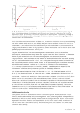 18-1140-62 AC 117
Fig. 73. The effect of microcarrier concentration on the proportion of microcarriers bearing cells at the plateau stage of
culture. Cultures were inoculated with 5 viable Vero cells/microcarrier or 10 viable MRC-5 cells/microcarrier and stirred
immediately at 60 rpm. The proportion of microcarriers bearing cells was determined after 7 days (Vero) or 9 days (MRC-5).
Cultures were maintained under conditions where supply of medium and control of pH were not limiting cell growth. (From
Pharmacia Biotech AB, Uppsala, Sweden.)
If low concentrations of microcarriers must be used, increase the proportion of microcarriers bearing
cells at the plateau stage of culture, and thereby the yield, with the modified initial culture procedure
(Section 8.4.2.2). Provided a correct inoculation density is used (Section 8.4.2.4), a concentration of
3 mg Cytodex/mL final volume is usually optimal for general microcarrier culture and will result in the
greatest proportion of microcarriers bearing cells.
The yield of cells/cm2 from cultures containing lower concentrations of microcarriers (less
than 2 mg/mL) depends on the ability of the cells to grow under less dense conditions. To obtain the
maximum yield of cells/cm2 from cultures containing higher concentrations (more than
4 mg Cytodex/mL), the culture medium may need to be replenished more often than when growing
cells at a low concentration (Section 8.4.3.2). This is simply because a given volume of medium can
only support the growth of a finite number of cells. As an approximate guide to expected cell yields,
assume that the culture has a density of 105 cells/cm2 at confluence. This corresponds to
6×105 cells/mg Cytodex 1 and 4.6×105 cells/mg Cytodex 3. The exact yield will depend on the
characteristic saturation density of the cell type and on the supply of medium.
For Cytopore, the recommended carrier concentration is 2–3 g/L. Due to the high swelling factor of
40 mL/g, the concentration must be lower than with Cytodex. The maximum concentration is 5 g/L.
For Cytoline 2 in stirred tank applications, the concentration is between 100 and 200 mL/L of culture
volume. Higher concentrations are only possible for very robust cells. For Cytoline in fluidized
beds, carrier concentration depends only on the degree of expansion in the reactor. (Cell growth is
independent of carrier load inside the fermenter.) The rate of microcarrier bed expansion depends
on the attachment properties of the cells. The higher their adherence to the beads, the greater
the expansion rate of the carrier bed inside the reactor and the lower the filling of the reactor. The
maximum carrier load in a fluidized bed is half the working volume.
8.4.2.4 Inoculation density
It is a general cell culture phenomenon that the survival and growth of cells depends to a large
extent on the inoculation density and conditioning effects. These conditioning effects are dependent on
the density of the culture; a low density leads to relatively poor growth. With respect to anchorage-
dependent cells, one of the most critical parameters at inoculation is the number of cells/cm2 of
culture surface area. Cells with low plating efficiencies are particularly sensitive to culture under
conditions of low density.
Monkey kidney cells (Vero)
mg Cytodex/mLmg Cytodex/mL
1 12 23 34 45 5
Human fibroblasts (MRC-5)
%microcarriersbearingcells
20
40
60
80
100
%microcarriersbearingcells
20
40
60
80
100
 
