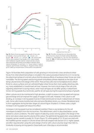 122 18-1140-62 AC
Fig. 75. Effects of stirring speed on the growth of Vero cells
on Cytodex 1 microcarriers (30 rpm — —, 40 rpm — —,
60 rpm — —, 90 rpm — —, 120 rpm — —). All cultures were
250 mL and contained 3 mg Cytodex 1/mL. Culture vessels
were traditional magnetic spinner vessels and the cultures
were stirred from the moment of inoculation in the final culture
volume. (Hirtenstein, M. and Clark, J. In “Tissue culture in medical
research” eds Richards, R and Rajan, K., Pergamon Press, Oxford,
pp 97 (1980), by kind permission of the authors and publisher.)
Days
1 3 5 7
10
4
5
10
6
10
7
10Cells/mL
Fig. 76. The effect of shear force on the productivity
of microcarrier cultures of chicken embryo fibroblasts.
(Sinskey, A.J., Fleischaker, R.J., Tyo, M.A. et al. Annals N.Y.
Acad. Sci. 369, 47 (1981) by kind permission of the authors
and publisher.)
Immediate
agitation
2
4
6
24h
attachment
40
Integrated shear factor (sec )-1
80 120
Maxcell(cells/mLx10)density
6
Figure 76 illustrates that a population of cells growing on microcarriers is less sensitive to shear
forces if an initial attachment phase is included in the culture procedure (Section 8.4.2.2). It is during
the attachment phase of a stirred culture that the adverse effects of excessive shear forces are most
noticeable. The stirring speed used during growth and plateau phases depends on the type of cell
being cultured and on the design of the stirrer. Most primary cells and normal diploid strains attach
firmly to culture surfaces and can withstand higher shear forces than more weakly attaching cells,
e.g. many established or transformed cell lines. However, the most critical stage of the cell cycle
regarding attachment is during mitosis, when most cell types do not differ greatly in attachment.
Similar stirring speeds thus tend to be used for all cell types during the exponential phase of growth.
When cultures are to be maintained at high densities, a slight increase in stirring speed will improve
gas exchange and can improve the supply of oxygen to the cells. However, if the culture is still
dividing, an increase in stirring speed must be limited and should not result in detachment of mitotic
cells. Some cells (mainly transformed cells and some fibroblast strains, e.g. chicken fibroblasts) tend
to form aggregates during the later stages of culture (Figure 29 plate 5). In these cases, a slight
increase in stirring speed will reduce this effect.
Increases in stirring speed must be considered carefully if there is any tendency for the cell
monolayers to detach from the microcarriers. This detachment, which is discussed below, can be
related to culture conditions. The other aspect of selecting correct stirring speed is the design of the
stirrer and culture vessel, plus the volume of the culture. The optimal stirring speed when using traditional
magnetic spinner vessels is usually 50–70 rpm (Figure 75), while speeds of 15–30 rpm are used with
the modified spinner vessels or cultures stirred with bulb-shaped rods (Section 6.4.1). Higher speeds
are often required when using the same design of stirrer with culture volumes larger than 500 mL.
Gradually increasing stirring speed to these levels over a few days is recommended.
 