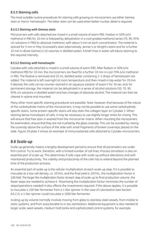 130 18-1140-62 AC
8.5.5 Staining cells
The most suitable routine procedures for staining cells growing on microcarriers use either Geimsa
stain or Harris’ hematoxylin. The latter stain can be used when better nuclear detail is required.
8.5.5.1 Staining with Giemsa stain
Microcarriers with cells attached are rinsed in a small volume of warm PBS. Fixation in 50% (v/v)
methanol in PBS for 10 min is followed by dehydration in a cool graded methanol series (70, 90, 95%
v/v solutions in PBS) to absolute methanol, with about 5 min at each concentration. The material is
stained for 5 min in May-Grünwald’s stain (alternatively Jenner’s or Wright’s stain) and for a further
10 min in dilute Giemsa (1:10 volumes in distilled water). A brief rinse in water will educe staining to
the required intensity.
8.5.5.2 Staining with hematoxylin
Cytodex with cells attached is rinsed in a small volume of warm PBS. After fixation in 50% (v/v)
methanol PBS for 10 min, the microcarriers are fixed for a further 10 min in cool 70% (v/v) methanol
in PBS. The fixative is removed and 10 mL distilled water containing 2–3 drops of hematoxylin are
added. The material is left overnight at room temperature and then rinsed in tap water for 20 min.
If desired, the cells can be counter-stained in an aqueous solution of eosin-Y for 30 sec and, for
permanent storage, the material can be dehydrated in a series of alcohol solutions (50, 70, 90,
95% v/v solutions in distilled water) and two changes of absolute alcohol. The material can then be
cleared in xylene and mounted.
Many other more specific staining procedures are possible. Note, however, that because of the nature
of the carbohydrate matrix of the microcarriers, it may not be possible to use some carbohydrate-
specific stains. Some protein-specific stains will also stain the collagen layer on Cytodex 3. When
staining dense monolayers of cells, it may be necessary to use slightly longer times for rinsing. This
will ensure that free stain is washed from the microcarrier matrix. When mounting the microcarriers
for examination, ensure that they are not crushed by the glass coverslip. This can be avoided by raising
the coverslip above the surface of the slide with small fragments of broken coverslips placed on the
slide. Figure 29 plate 3 shows an example of immunostained cells attached to Cytodex microcarriers.
8.6 Scale-up
Scale-up generally means a lengthy development period to ensure that all parameters are under
firm control. Try to work, therefore, with a limited number of cell lines. Process simulation is also an
essential part of scale-up. This determines if cells cope with scale-up without alterations and with
maintained productivity. The viability and productivity of the cells has to extend beyond the planned
time of the production process.
An essential part of scale-up is the cellular multiplication at each scale-up step. If it is possible to
inoculate at a low cell density, i.e. 104/mL and the final yield is 106/mL, the multiplication factor is
100-fold. The larger the multiplication factor at each step of scale-up to final production volume, the
fewer steps are needed to achieve it. Maximizing the multiplication factor minimizes the number of
steps/operations needed! It also affects the investments required. If the above applies, it is possible
to inoculate a 100 liter fermenter from a 1 liter spinner. In the case of colonization (see Section
8.6.2.2), a 1 liter spinner could inoculate a 1000 liter fermenter.
Scaling-up by volume normally involves moving from glass to stainless steel vessels, from mobile to
static systems, and from autoclavable to in situ sterilization. Additional equipment is also needed at
larger scale; seed vessels, medium hold tanks and sophisticated control systems, for example.
 