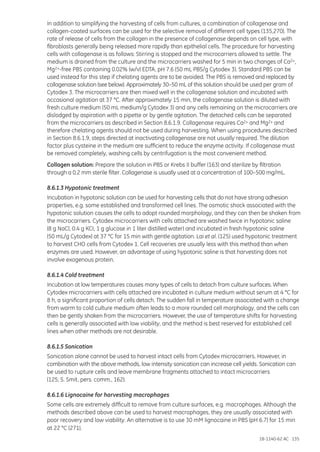 18-1140-62 AC 135
In addition to simplifying the harvesting of cells from cultures, a combination of collagenase and
collagen-coated surfaces can be used for the selective removal of different cell types (135,270). The
rate of release of cells from the collagen in the presence of collagenase depends on cell type, with
fibroblasts generally being released more rapidly than epithelial cells. The procedure for harvesting
cells with collagenase is as follows: Stirring is stopped and the microcarriers allowed to settle. The
medium is drained from the culture and the microcarriers washed for 5 min in two changes of Ca2+,
Mg2+-free PBS containing 0.02% (w/v) EDTA, pH 7.6 (50 mL PBS/g Cytodex 3). Standard PBS can be
used instead for this step if chelating agents are to be avoided. The PBS is removed and replaced by
collagenase solution (see below). Approximately 30–50 mL of this solution should be used per gram of
Cytodex 3. The microcarriers are then mixed well in the collagenase solution and incubated with
occasional agitation at 37 °C. After approximately 15 min, the collagenase solution is diluted with
fresh culture medium (50 mL medium/g Cytodex 3) and any cells remaining on the microcarriers are
dislodged by aspiration with a pipette or by gentle agitation. The detached cells can be separated
from the microcarriers as described in Section 8.6.1.9. Collagenase requires Ca2+ and Mg2+ and
therefore chelating agents should not be used during harvesting. When using procedures described
in Section 8.6.1.9, steps directed at inactivating collagenase are not usually required. The dilution
factor plus cysteine in the medium are sufficient to reduce the enzyme activity. If collagenase must
be removed completely, washing cells by centrifugation is the most convenient method.
Collagen solution: Prepare the solution in PBS or Krebs II buffer (163) and sterilize by filtration
through a 0.2 mm sterile filter. Collagenase is usually used at a concentration of 100–500 mg/mL.
8.6.1.3 Hypotonic treatment
Incubation in hypotonic solution can be used for harvesting cells that do not have strong adhesion
properties, e.g. some established and transformed cell lines. The osmotic shock associated with the
hypotonic solution causes the cells to adopt rounded morphology, and they can then be shaken from
the microcarriers. Cytodex microcarriers with cells attached are washed twice in hypotonic saline
(8 g NaCl, 0.4 g KCI, 1 g glucose in 1 liter distilled water) and incubated in fresh hypotonic saline
(50 mL/g Cytodex) at 37 °C for 15 min with gentle agitation. Lai et al. (125) used hypotonic treatment
to harvest CHO cells from Cytodex 1. Cell recoveries are usually less with this method than when
enzymes are used. However, an advantage of using hypotonic saline is that harvesting does not
involve exogenous protein.
8.6.1.4 Cold treatment
Incubation at low temperatures causes many types of cells to detach from culture surfaces. When
Cytodex microcarriers with cells attached are incubated in culture medium without serum at 4 °C for
8 h, a significant proportion of cells detach. The sudden fall in temperature associated with a change
from warm to cold culture medium often leads to a more rounded cell morphology, and the cells can
then be gently shaken from the microcarriers. However, the use of temperature shifts for harvesting
cells is generally associated with low viability, and the method is best reserved for established cell
lines when other methods are not desirable.
8.6.1.5 Sonication
Sonication alone cannot be used to harvest intact cells from Cytodex microcarriers. However, in
combination with the above methods, low intensity sonication can increase cell yields. Sonication can
be used to rupture cells and leave membrane fragments attached to intact microcarriers
(125; S. Smit, pers. comm., 162).
8.6.1.6 Lignocaine for harvesting macrophages
Some cells are extremely difficult to remove from culture surfaces, e.g. macrophages. Although the
methods described above can be used to harvest macrophages, they are usually associated with
poor recovery and low viability. An alternative is to use 30 mM lignocaine in PBS (pH 6.7) for 15 min
at 22 °C (271).
 