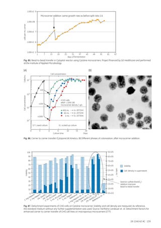 18-1140-62 AC 139
Fig. 85. Bead-to-bead transfer in Cytopilot reactor using Cytoline microcarriers. Project financed by GE Healthcare and performed
at the Institute of Applied Microbiology.
Fig. 86. Carrier to carrier transfer (Cytopore) (A) Kinetics. (B) Different phases of colonization, after microcarrier addition.
Fig. 87. Detachment experiments of CHO cells on Cytoline microcarrier. Viability and cell density are measured. As reference,
the standard medium without any further supplementation was used. Source: Karlheinz Landauer et. al. Detachment factors for
enhanced carrier to carrier transfer of CHO cell lines on macroporous microcarriers (277).
Cells/mLCellconcentration
Cell concentration
Culture time
0.7 L seed culture 6 L scaled-up culture
600 mL
x10
x100
x1000
6 L (DT33H)
rCHO cells
eRDF + 10% CBS
microcarrier density 1 g/L
6 L (DT32H)
6 L (DT30H)
60 mL
6 mL
Days
0 0 105 5 15 20
10
4
5
10
6
10
7
10
0
10
20
30
40
50
60
70
80
90
100
1 mg Heparin
2 mg Heparin
2%
DexSO 4
2%
DexSO
24
h
4
2 mL Accutase
5 mL Accutase
2 mL Papain
5 mL Papain
Reference
1 mg Heparin 24
h
2 mg Heparin 24
h
Reference 24
h
Viability
0.E+00
1.E+05
2.E+05
3.E+05
4.E+05
5.E+05
6.E+05
7.E+05
8.E+05
9.E+05
cellsmL-1
Viability
Cell density in supernatant
Dextran sulfate (DexSO )
addition improves
bead-to-bead transfer
4
1%
DexSO
4
1%
DexSO
24
h
4
1.00E+0 5
1.00E+0 6
1.00E+0 7
1.00E+08
1.00E+0 9
1 7 13 19 25 31 37 43 49 55 61 67
days of fermentation
Microcarrier addition: same growth rate as before split ratio 1:6
cellspermLcarrier
(A) (B)
 