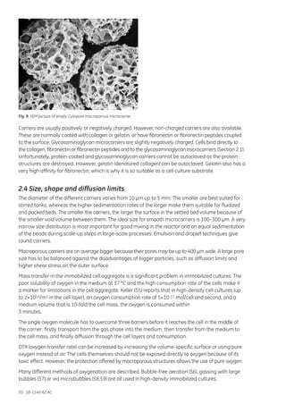 20 18-1140-62 AC
Fig. 9. SEM picture of empty Cytopore macroporous microcarrier.
Carriers are usually positively or negatively charged. However, non-charged carriers are also available.
These are normally coated with collagen or gelatin, or have fibronectin or fibronectin peptides coupled
to the surface. Glycosaminoglycan microcarriers are slightly negatively charged. Cells bind directly to
the collagen, fibronectin or fibronectin peptides and to the glycosaminoglycan microcarriers (Section 2.1).
Unfortunately, protein-coated and glycosaminoglycan carriers cannot be autoclaved as the protein
structures are destroyed. However, gelatin (denatured collagen) can be autoclaved. Gelatin also has a
very high affinity for fibronectin, which is why it is so suitable as a cell culture substrate.
2.4 Size, shape and diffusion limits
The diameter of the different carriers varies from 10 µm up to 5 mm. The smaller are best suited for
stirred tanks, whereas the higher sedimentation rates of the larger make them suitable for fluidized
and packed beds. The smaller the carriers, the larger the surface in the settled bed volume because of
the smaller void volume between them. The ideal size for smooth microcarriers is 100–300 µm. A very
narrow size distribution is most important for good mixing in the reactor and an equal sedimentation
of the beads during scale-up steps in large-scale processes. Emulsion and droplet techniques give
round carriers.
Macroporous carriers are on average bigger because their pores may be up to 400 µm wide. A large pore
size has to be balanced against the disadvantages of bigger particles, such as diffusion limits and
higher shear stress on the outer surface.
Mass transfer in the immobilized cell aggregate is a significant problem in immobilized cultures. The
poor solubility of oxygen in the medium at 37 °C and the high consumption rate of the cells make it
a marker for limitations in the cell aggregate. Keller (55) reports that in high-density cell cultures (up
to 2×1014/m3 in the cell layer), an oxygen consumption rate of 5×10-17 mol/cell and second, and a
medium volume that is 10-fold the cell mass, the oxygen is consumed within
3 minutes.
The single oxygen molecule has to overcome three barriers before it reaches the cell in the middle of
the carrier: firstly transport from the gas phase into the medium, then transfer from the medium to
the cell mass, and finally diffusion through the cell layers and consumption.
OTR (oxygen transfer rate) can be increased by increasing the volume-specific surface or using pure
oxygen instead of air. The cells themselves should not be exposed directly to oxygen because of its
toxic effect. However, the protection offered by macroporous structures allows the use of pure oxygen.
Many different methods of oxygenation are described. Bubble-free aeration (56), gassing with large
bubbles (57) or via microbubbles (58,59) are all used in high-density immobilized cultures.
 