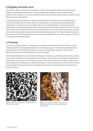 22 18-1140-62 AC
Fig. 11. Microporous structure of Cytodex (pores are
not available for cells).
2.6 Rigidity and shear force
Microcarrier rigidity is important in long-term cultures. The materials used should withstand the
organic acids and proteases found in culture supernatants. Abrasive carriers made of brittle
materials such as glass or ceramics could harm cells, valves and bearings, and cause problems when
filtering culture supernatants.
In turbulent fluids, particle/particle collisions and particle/stirrer collisions are very energetic (61). In
contrast to stirred tanks, the shear forces in fluidized beds are homogeneously distributed and
impeller/carrier collisions are not possible. Shear forces in fluidized beds correlate with particle
sedimentation velocity and reactor type. Keller (55) measured shear tensions of about 0.3–0.5 N/cm2, which
are far below the damaging shear tension for kidney cells (10 N/cm2 (62)). Spier (63) transferred shear
forces into wind velocities to demonstrate the force affecting the cells. The linear velocity should not
be more than 0.3 km/h during attachment of anchorage-dependent cells, while a velocity of 95 km/h
is necessary for cell detachment.
2.7 Porosity
Carriers can either be solid or microporous. Microporous carriers allow the cells to take up and to
secrete material on the basolateral side of the cell. Molecules up to Mr 100 000 can penetrate these
carriers (Figure 11). Note that when these microcarriers are entirely confluent, there can be a
different environment inside the beads than on the outside!
The latest development in microcarrier technology is macroporous carriers (Fig 12) that allow cells to
enter. Their average pore size is between 30 and 400 µm. As the mean cell diameter of single cells in
suspension is about 10 µm, this allows cells easy access into the carriers. Macroporous carriers are
also suitable for immobilizing non-adherent cell types. In this case, the cells are forced into the matrix
and entrapped. Macroporous carriers give higher cell densities and are therefore normally used in
perfusion culture.
Fig. 12. Cross-section through the macroporous
Cytopore bead. The bead is porous throughout
(95% porous).
 