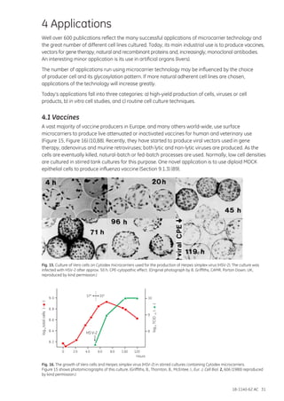 18-1140-62 AC 31
4 Applications
Well over 600 publications reflect the many successful applications of microcarrier technology and
the great number of different cell lines cultured. Today, its main industrial use is to produce vaccines,
vectors for gene therapy, natural and recombinant proteins and, increasingly, monoclonal antibodies.
An interesting minor application is its use in artificial organs (livers).
The number of applications run using microcarrier technology may be influenced by the choice
of producer cell and its glycosylation pattern. If more natural adherent cell lines are chosen,
applications of the technology will increase greatly.
Today’s applications fall into three categories: a) high-yield production of cells, viruses or cell
products, b) in vitro cell studies, and c) routine cell culture techniques.
4.1 Vaccines
A vast majority of vaccine producers in Europe, and many others world-wide, use surface
microcarriers to produce live attenuated or inactivated vaccines for human and veterinary use
(Figure 15, Figure 16) (10,88). Recently, they have started to produce viral vectors used in gene
therapy, adenovirus and murine retroviruses; both lytic and non-lytic viruses are produced. As the
cells are eventually killed, natural-batch or fed-batch processes are used. Normally, low cell densities
are cultured in stirred tank cultures for this purpose. One novel application is to use diploid MDCK
epithelial cells to produce influenza vaccine (Section 9.1.3) (89).
Fig. 15. Culture of Vero cells on Cytodex microcarriers used for the production of Herpes simplex virus (HSV-2). The culture was
infected with HSV-2 after approx. 50 h. CPE-cytopathic effect. (Original photograph by B. Griffiths, CAMR, Porton Down, UK,
reproduced by kind permission.)
Fig. 16. The growth of Vero cells and Herpes simplex virus (HSV-2) in stirred cultures containing Cytodex microcarriers.
Figure 15 shows photomicrographs of this culture. (Griffiths, B., Thornton, B., McEntee, I., Eur. J. Cell Biol. 2, 606 (1980) reproduced
by kind permission.)
Hours
37° 35°
HS V-2
0 2 0 4 0 6 0 8 0 1 00 120
8. 2
8. 4
8. 6
8. 8
9. 0
8
9
10
logtotalcells()10--
logTCID()1050--
 