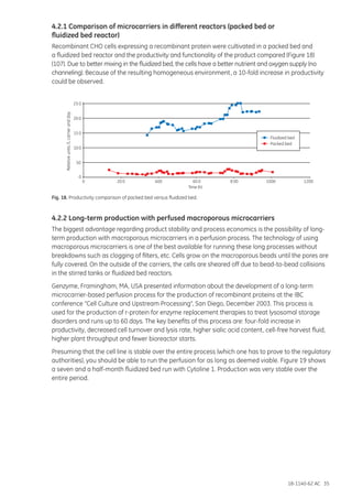 18-1140-62 AC 35
4.2.1 Comparison of microcarriers in different reactors (packed bed or
fluidized bed reactor)
Recombinant CHO cells expressing a recombinant protein were cultivated in a packed bed and
a fluidized bed reactor and the productivity and functionality of the product compared (Figure 18)
(107). Due to better mixing in the fluidized bed, the cells have a better nutrient and oxygen supply (no
channeling). Because of the resulting homogeneous environment, a 10-fold increase in productivity
could be observed.
Fig. 18. Productivity comparison of packed bed versus fluidized bed.
4.2.2 Long-term production with perfused macroporous microcarriers
The biggest advantage regarding product stability and process economics is the possibility of long-
term production with macroporous microcarriers in a perfusion process. The technology of using
macroporous microcarriers is one of the best available for running these long processes without
breakdowns such as clogging of filters, etc. Cells grow on the macroporous beads until the pores are
fully covered. On the outside of the carriers, the cells are sheared off due to bead-to-bead collisions
in the stirred tanks or fluidized bed reactors.
Genzyme, Framingham, MA, USA presented information about the development of a long-term
microcarrier-based perfusion process for the production of recombinant proteins at the IBC
conference “Cell Culture and Upstream Processing”, San Diego, December 2003. This process is
used for the production of r-protein for enzyme replacement therapies to treat lysosomal storage
disorders and runs up to 60 days. The key benefits of this process are: four-fold increase in
productivity, decreased cell turnover and lysis rate, higher sialic acid content, cell-free harvest fluid,
higher plant throughput and fewer bioreactor starts.
Presuming that the cell line is stable over the entire process (which one has to prove to the regulatory
authorities), you should be able to run the perfusion for as long as deemed viable. Figure 19 shows
a seven and a half-month fluidized bed run with Cytoline 1. Production was very stable over the
entire period.
0
Relativeunits/Lcarrierandday
0
50
10 0
25 0
15 0
20 0
20 0
400 60 0 8 00 1000 1200
Time (h)
Fluidized bed
Packed bed
 