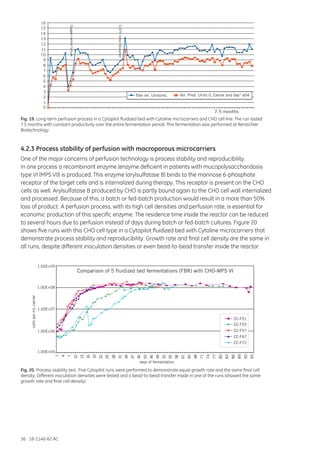 36 18-1140-62 AC
0
1
2
3
4
5
6
7
8
9
10
11
12
13
14
15
16
Titer rel. Units/mL Vol. Prod. Units /L Carrier and day* e04
7.5 months
Oxygencontrolfailure
0.375mmolGlutamin
Fig. 20. Process stability test. Five Cytopilot runs were performed to demonstrate equal growth rate and the same final cell
density. Different inoculation densities were tested and a bead-to-bead transfer made in one of the runs (showed the same
growth rate and final cell density).
Comparison of 5 fluidized bed fermentations (FBR) with CHO-MPS VI
1.00E+05
1.00E+06
1.00E+07
1.00E+08
1.00E+09
1
4
7
10
13
16
19
22
25
28
31
34
37
40
43
46
49
52
55
58
61
65
68
71
74
77
80
83
86
89
92
95
days of fermentation
CC-F51
CC-F55
CC-F57
CC-F67
CC-F72
cellspermLcarrier
Fig. 19. Long-term perfusion process in a Cytopilot fluidized bed with Cytoline microcarriers and CHO cell line. The run lasted
7.5 months with constant productivity over the entire fermentation period. This fermentation was performed at Rentschler
Biotechnology.
4.2.3 Process stability of perfusion with macroporous microcarriers
One of the major concerns of perfusion technology is process stability and reproducibility.
In one process a recombinant enzyme (enzyme deficient in patients with mucopolysaccharidosis
type VI (MPS VI)) is produced. This enzyme (arylsulfatase B) binds to the mannose 6-phosphate
receptor of the target cells and is internalized during therapy. This receptor is present on the CHO
cells as well. Arylsulfatase B produced by CHO is partly bound again to the CHO cell wall internalized
and processed. Because of this, a batch or fed-batch production would result in a more than 50%
loss of product. A perfusion process, with its high cell densities and perfusion rate, is essential for
economic production of this specific enzyme. The residence time inside the reactor can be reduced
to several hours due to perfusion instead of days during batch or fed-batch cultures. Figure 20
shows five runs with this CHO cell type in a Cytopilot fluidized bed with Cytoline microcarriers that
demonstrate process stability and reproducibility. Growth rate and final cell density are the same in
all runs, despite different inoculation densities or even bead-to-bead transfer inside the reactor.
 