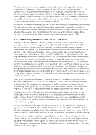18-1140-62 AC 43
Microcarriers have been used to study the relationship between anchorage, cell density and
stimulation of lymphocytes (124), and in studies of animal cell plasma membranes. Lai et al. (125)
used Cytodex to study the influence of adhesion on the fluidity on Chinese hamster ovary cell
plasma membranes. Using electron spin resonance, it was possible to compare cells growing in
free suspension culture and attached to microcarriers in suspension culture. Cytodex microcarriers are
compatible with spin-labeling and provided a technique whereby cells could be easily transferred
and assayed without removal from the culture surface (125).
Microcarrier culture can also be used to isolate plasma membranes with less than 1% contamination
from internal membrane markers (126). The procedure is suitable for cells capable of attachment.
Cells are first allowed to attach and spread on the microcarriers. Hypotonic lysis is followed by brief
sonication to disrupt the cells. The cell debris is then removed, and membranes attached to the
microcarriers can be used directly for assays of membrane-associated enzymes (126).
4.5.3 Proteolytic enzyme-free subcultivation and cell transfer
In many studies, it is important to be able to harvest or transfer cultured cells without using
proteolytic enzymes or chelating agents, which often alter cell viability and the integrity of the
plasma membranes. Microcarriers make it possible to subculture cells or scale-up cultures
without using such agents. They also provide convenient surfaces for cell growth, and cells can be
transferred from culture vessel to culture vessel or used directly for experiments without having to
be removed from the microcarriers. Horst et al. (127) and Ryan et al. (120) observed that cells could
migrate between microcarriers and the surfaces of cell culture flasks or Petri dishes. When Cytodex
microcarriers were allowed to settle onto monolayers of mouse fibroblasts, cells migrated onto
the microcarriers, which could then be transformed to another culture vessel (127). This method of
transferring cells has also been used for bovine pulmonary artery endothelial cells that are normally
sensitive to treatment with proteolytic enzymes (120). A variation of this technique is to allow cells
to migrate from confluent microcarriers onto new microcarriers. Crespi and Thilly (6) could maintain
prolonged periods of exponential growth of CHO cells by diluting confluent microcarrier cultures and
adding new microcarriers. Transfer of cells between microcarriers was enhanced by a medium with
low Ca2+ concentration (6).
New microcarriers can also be added to confluent microcarrier cultures during periods of virus
production, and Manousos et al. (98) used this technique to cause a new wave of cell proliferation
and production of oncornavirus. It is also possible to scale up microcarrier cultures of human
fibroblasts by allowing confluent microcarriers to settle with new microcarriers. After a few hours,
migration of cells results in inoculation of the new microcarriers (P. Talbot, pers. comm., 128).
However, the suitability of this technique is limited by the mobility of cells. Some types of cells, e.g.
hepatocytes, exhibit only limited mobility and do not migrate between microcarriers and other
culture surfaces. The chance of cell transfer between microcarriers is increased by allowing the
culture to remain static for several hours. Occasional stirring should eliminate any tendency for the
microcarriers to aggregate.
Microcarriers also have other applications in the transfer of cells. For example, 10 minutes after
Cytodex has been incubated with peritoneal fluid, macrophages adhere to it and can be separated
from the other peritoneal cells by simple differential sedimentation (H. Slater, pers. comm., 129). The
macrophages attached to the microcarrier can then be transferred to other culture vessels for study.
Microcarriers can also be used for cloning cells. Cultures can be inoculated with approximately one
cell/microcarrier and, after allowing time for cell attachment, those microcarriers bearing only one
cell can be transferred by Pasteur pipette into cloning wells. In this way, microcarriers provide an
easily manipulated culture surface. Similarly confluent microcarriers can be embedded in semi-solid
medium to form feeder layers.
 