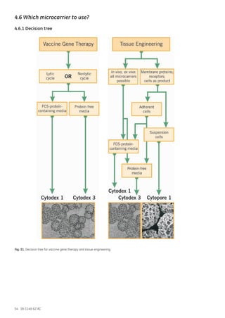 54 18-1140-62 AC
4.6 Which microcarrier to use?
4.6.1 Decision tree
Fig. 31. Decision tree for vaccine gene therapy and tissue engineering.
 