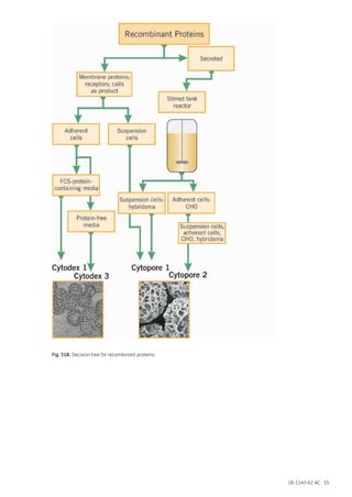 18-1140-62 AC 55
Fig. 31B. Decision tree for recombinant proteins.
 
