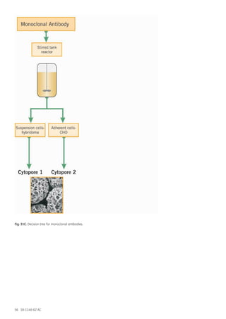 56 18-1140-62 AC
Fig. 31C. Decision tree for monoclonal antibodies.
 