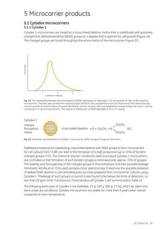 18-1140-62 AC 59
5 Microcarrier products
5.1 Cytodex microcarriers
5.1.1 Cytodex 1
Cytodex 1 microcarriers are based on a cross-linked dextran matrix that is substituted with positively
charged N,N-diethylaminoethyl (DEAE) groups to a degree that is optimal for cell growth (Figure 32).
The charged groups are found throughout the entire matrix of the microcarrier (Figure 33).
Cellgrowth
Substitution (meq/g)
1 2 3
Fig. 33. Schematic representation of Cytodex 1 microcarrier. DEAE charges throughout the matrix.
Published procedures for substituting cross-linked dextran with DEAE groups to form microcarriers
for cell culture (3,69,73,98) can lead to the formation of a high proportion (up to 35%) of tandem
charged groups (133). The chemical reaction conditions used to produce Cytodex 1 microcarriers
are controlled so that formation of such tandem groups is minimized (only approx. 15% of groups).
The stability and homogeneity of the charged groups is thus enhanced and their possible leakage
minimized. Windig et al. (134) used pyrolysis mass spectroscopy to examine the possible presence
of leaked DEAE dextran in concentrated polio vaccines prepared from microcarrier cultures using
Cytodex 1. If leakage of such groups occurred, it was found to be below the limits of detection, i.e.
less than 20 ppm (134). The physical characteristics of Cytodex 1 are summarized in Table 12.
The following pack sizes of Cytodex 1 are available: 25 g, 100 g, 500 g, 2.5 kg, and 5 kg. Open and
store under dry conditions. Cytodex microcarriers are stable for more than 8 years when stored
unopened at room temperature.
CH CH2 3
CH CH2 3
.HCL2 2CH CH NO
Cytodex 1
charges
throughout
matrix
cross-linked dextran
Fig. 32. The relationship between the total degree of DEAE substitution of Sephadex G-50 and growth of cells on the resulting
microcarriers. The data were pooled from several studies (46,69,74 and unpublished work from Pharmacia Fine Chemicals) and
concern growth of several strains of human fibroblasts, primary monkey cells and established monkey kidney cell lines in cultures
containing 3–5 mg microcarriers/mL. The degree of substitution of DEAE Sephadex A-50 is 3.5 meq/g.
 