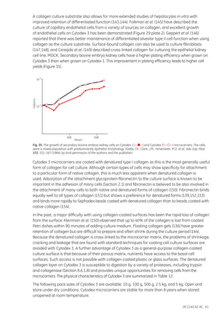 18-1140-62 AC 61
Cells/mL
10
10
100 200
Hours
5
6
A collagen culture substrate also allows for more extended studies of hepatocytes in vitro with
improved retention of differentiated function (143,144). Folkman et al. (145) have described the
culture of capillary endothelial cells from a variety of sources on collagen, and excellent growth
of endothelial cells on Cytodex 3 has been demonstrated (Figure 29 plate 2). Geppert et al. (146)
reported that there was better maintenance of differentiated alveolar type II cell function when using
collagen as the culture substrate. Surface-bound collagen can also be used to culture fibroblasts
(147,148), and Cereijido et al. (149) described cross-linked collagen for culturing the epithelial kidney
cell line, MDCK. Secondary bovine embryo kidney cells have a higher plating efficiency when grown on
Cytodex 3 than when grown on Cytodex 1. This improvement in plating efficiency leads to higher cell
yields (Figure 35).
Fig. 35. The growth of secondary bovine embryo kidney cells on Cytodex 1 (— —) and Cytodex 3 (— —) microcarriers. The cells
were a mixed population with predominantly epithelial morphology. (Gebb, Ch., Clark, J.M., Hirtenstein, M.D. et al., Adv. Exp. Med.
172, 151–167 (1984), by kind permission of the authors and the publisher.)
Cytodex 3 microcarriers are coated with denatured type I collagen as this is the most generally useful
form of collagen for cell culture. Although certain types of cells may show specificity for attachment
to a particular form of native collagen, this is much less apparent when denatured collagen is
used. Adsorption of the attachment glycoprotein fibronectin to the culture surface is known to be
important in the adhesion of many cells (Section 2.1) and fibronectin is believed to be also involved in
the attachment of many cells to both native and denatured forms of collagen (150). Fibronectin binds
equally well to all types of collagen (151) but shows a preference for denatured forms (139,152,153)
and binds more rapidly to Sephadex beads coated with denatured collagen than to beads coated with
native collagen (154).
In the past, a major difficulty with using collagen-coated surfaces has been the rapid loss of collagen
from the surface. Kleinman et al. (150) observed that up to 40% of the collagen is lost from coated
Petri dishes within 90 minutes of adding culture medium. Floating collagen gels (136) have greater
retention of collagen but are difficult to prepare and often shrink during the culture period (144).
Because the denatured collagen is cross-linked to the microcarrier matrix, the problems of shrinkage,
cracking and leakage that are found with standard techniques for coating cell culture surfaces are
avoided with Cytodex 3. A further advantage of Cytodex 3 as a general-purpose collagen-coated
culture surface is that because of their porous matrix, nutrients have access to the basal cell
surfaces. Such access is not possible with collagen-coated plastic or glass surfaces. The denatured
collagen layer on Cytodex 3 is susceptible to digestion by a variety of proteases, including trypsin
and collagenase (Section 8.6.1.8) and provides unique opportunities for removing cells from the
microcarriers. The physical characteristics of Cytodex 3 are summarized in Table 12.
The following pack sizes of Cytodex 3 are available: 10 g, 100 g, 500 g, 2.5 kg, and 5 kg. Open and
store under dry conditions. Cytodex microcarriers are stable for more than 8 years when stored
unopened at room temperature.
 