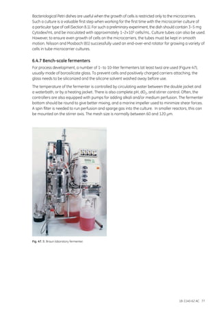 18-1140-62 AC 77
Bacteriological Petri dishes are useful when the growth of cells is restricted only to the microcarriers.
Such a culture is a valuable first step when working for the first time with the microcarrier culture of
a particular type of cell (Section 8.1). For such a preliminary experiment, the dish should contain 3–5 mg
Cytodex/mL and be inoculated with approximately 1–2×105 cells/mL. Culture tubes can also be used.
However, to ensure even growth of cells on the microcarriers, the tubes must be kept in smooth
motion. Nilsson and Mosbach (81) successfully used an end-over-end rotator for growing a variety of
cells in tube microcarrier cultures.
6.4.7 Bench-scale fermenters
For process development, a number of 1- to 10-liter fermenters (at least two) are used (Figure 47),
usually made of borosilicate glass. To prevent cells and positively charged carriers attaching, the
glass needs to be siliconized and the silicone solvent washed away before use.
The temperature of the fermenter is controlled by circulating water between the double jacket and
a waterbath, or by a heating jacket. There is also complete pH, dO2, and stirrer control. Often, the
controllers are also equipped with pumps for adding alkali and/or medium perfusion. The fermenter
bottom should be round to give better mixing, and a marine impeller used to minimize shear forces.
A spin filter is needed to run perfusion and sparge gas into the culture. In smaller reactors, this can
be mounted on the stirrer axis. The mesh size is normally between 60 and 120 µm.
Fig. 47. B. Braun laboratory fermenter.
 