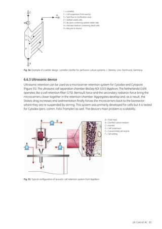 18-1140-62 AC 83
Fig. 54. Example of a settler design. Lamellar clarifier for perfusion culture systems. J. Stereny, Univ. Dortmund, Germany.
6.6.3 Ultrasonic device
Ultrasonic retention can be used as a microcarrier retention system for Cytodex and Cytopore
(Figure 55). The ultrasonic cell separation chamber (BioSep ADI 1015 (Applicon, The Netherlands) (169)
operates like a cell retention filter (170). Bernoulli force and the secondary radiation force bring the
microcarriers closer together in the retention chamber. Aggregates develop and, as a result, the
Stokes drag increases and sedimentation finally forces the microcarriers back to the bioreactor
where they are re-suspended by stirring. This system was primarily developed for cells but it is tested
for Cytodex (pers. comm. Felix Trampler) as well. The device’s main problem is scalability.
A = Fresh feed
B = Clarified culture medium
C = Harvest
D = Cell suspension
E = Concentrated cell recycle
F = Cell settling
L = Lamellas
C = Cell suspension from reactor
S = Split flow to clarification zone
V = Settled viable cells
P = By-pass containing settled viable cells
H = Harvest medium containing dead cells
R = Recycle to reactor
L
P
V
S
C
R
H
Fig. 55. Typical configuration of acoustic cell retention system from Applikon.
 