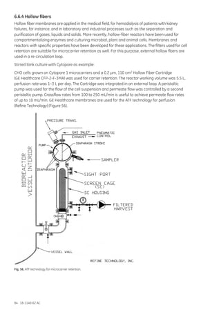 84 18-1140-62 AC
6.6.4 Hollow fibers
Hollow fiber membranes are applied in the medical field, for hemodialysis of patients with kidney
failures, for instance, and in laboratory and industrial processes such as the separation and
purification of gases, liquids and solids. More recently, hollow-fiber reactors have been used for
compartmentalizing enzymes and culturing microbial, plant and animal cells. Membranes and
reactors with specific properties have been developed for these applications. The filters used for cell
retention are suitable for microcarrier retention as well. For this purpose, external hollow fibers are
used in a re-circulation loop.
Stirred tank culture with Cytopore as example:
CHO cells grown on Cytopore 1 microcarriers and a 0.2 µm, 110 cm2 Hollow Fiber Cartridge
(GE Healthcare CFP-2-F-3MA) was used for carrier retention. The reactor working volume was 5.5 L,
perfusion rate was 1–3 L per day. The Cartridge was integrated in an external loop. A peristaltic
pump was used for the flow of the cell suspension and permeate flow was controlled by a second
peristaltic pump. Crossflow rates from 100 to 250 mL/min is useful to achieve permeate flow rates
of up to 10 mL/min. GE Healthcare membranes are used for the ATF technology for perfusion
(Refine Technology) (Figure 56).
Fig. 56. ATF technology for microcarrier retention.
 