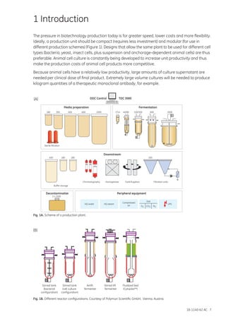 18-1140-62 AC 7
1 Introduction
The pressure in biotechnology production today is for greater speed, lower costs and more flexibility.
Ideally, a production unit should be compact (requires less investment) and modular (for use in
different production schemes) (Figure 1). Designs that allow the same plant to be used for different cell
types (bacteria, yeast, insect cells, plus suspension and anchorage-dependent animal cells) are thus
preferable. Animal cell culture is constantly being developed to increase unit productivity and thus
make the production costs of animal cell products more competitive.
Because animal cells have a relatively low productivity, large amounts of culture supernatant are
needed per clinical dose of final product. Extremely large volume cultures will be needed to produce
kilogram quantities of a therapeutic monoclonal antibody, for example.
Fig. 1A. Scheme of a production plant.
Fluidized bed
(Cytopilot™)
Stirred tank
(bacterial
configuration)
Stirred tank
(cell culture
configuration)
Airlift
fermenter
Stirred lift
fermenter
FermentationMedia preparation
TDC 3000DDC Control
Downstream
Decontamination Peripheral equipment
Filtration unitsChromatography CentrifugationHomogenizer
Sterile filtration
180 300 600 600 2000
200
7/14 40/80 150/300 600 2000
Buffer storage
180600 180
HQ water HQ steam
Compressed
air
UPS
Gas
N2O2 CO2
3 x 2500
(A)
(B)
Fig. 1B. Different reactor configurations. Courtesy of Polymun Scientific GmbH, Vienna, Austria.
 