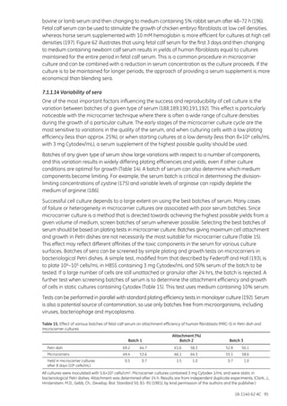 18-1140-62 AC 95
bovine or lamb serum and then changing to medium containing 5% rabbit serum after 48–72 h (196).
Fetal calf serum can be used to stimulate the growth of chicken embryo fibroblasts at low cell densities,
whereas horse serum supplemented with 10 mM hemoglobin is more efficient for cultures at high cell
densities (197). Figure 62 illustrates that using fetal calf serum for the first 3 days and then changing
to medium containing newborn calf serum results in yields of human fibroblasts equal to cultures
maintained for the entire period in fetal calf serum. This is a common procedure in microcarrier
culture and can be combined with a reduction in serum concentration as the culture proceeds. If the
culture is to be maintained for longer periods, the approach of providing a serum supplement is more
economical than blending sera.
7.1.1.14 Variability of sera
One of the most important factors influencing the success and reproducibility of cell culture is the
variation between batches of a given type of serum (188,189,190,191,192). This effect is particularly
noticeable with the microcarrier technique where there is often a wide range of culture densities
during the growth of a particular culture. The early stages of the microcarrier culture cycle are the
most sensitive to variations in the quality of the serum, and when culturing cells with a low plating
efficiency (less than approx. 25%), or when starting cultures at a low density (less than 8×104 cells/mL
with 3 mg Cytodex/mL), a serum supplement of the highest possible quality should be used.
Batches of any given type of serum show large variations with respect to a number of components,
and this variation results in widely differing plating efficiencies and yields, even if other culture
conditions are optimal for growth (Table 14). A batch of serum can also determine which medium
components become limiting. For example, the serum batch is critical in determining the division-
limiting concentrations of cystine (175) and variable levels of arginase can rapidly deplete the
medium of arginine (186).
Successful cell culture depends to a large extent on using the best batches of serum. Many cases
of failure or heterogeneity in microcarrier cultures are associated with poor serum batches. Since
microcarrier culture is a method that is directed towards achieving the highest possible yields from a
given volume of medium, screen batches of serum whenever possible. Selecting the best batches of
serum should be based on plating tests in microcarrier culture. Batches giving maximum cell attachment
and growth in Petri dishes are not necessarily the most suitable for microcarrier culture (Table 15).
This effect may reflect different affinities of the toxic components in the serum for various culture
surfaces. Batches of sera can be screened by simple plating and growth tests on microcarriers in
bacteriological Petri dishes. A simple test, modified from that described by Federoff and Hall (193), is
to plate 104–105 cells/mL in HBSS containing 3 mg Cytodex/mL and 50% serum of the batch to be
tested. If a large number of cells are still unattached or granular after 24 hrs, the batch is rejected. A
further test when screening batches of serum is to determine the attachment efficiency and growth
of cells in static cultures containing Cytodex (Table 15). This test uses medium containing 10% serum.
Tests can be performed in parallel with standard plating efficiency tests in monolayer culture (192). Serum
is also a potential source of contamination, so use only batches free from microorganisms, including
viruses, bacteriophage and mycoplasma.
Table 15. Effect of various batches of fetal calf serum on attachment efficiency of human fibroblasts (MRC-5) in Petri dish and
microcarrier cultures
		 Attachment (%)
	 Batch 1	 Batch 2	 Batch 3
Petri dish	 69.2	 64.7	 61.6	 58.3	 52.8	 50.1
Microcarriers	 49.4	 53.6	 66.1	64.3	 55.1	58.6
Yield in microcarrier cultures 	 0.5	 0.7	 1.5	 1.0	 0.7	 1.0
after 8 days (106 cells/mL)
All cultures were inoculated with 5.6×103 cells/cm2. Microcarrier cultures contained 3 mg Cytodex 1/mL and were static in
bacteriological Petri dishes. Attachment was determined after 24 h. Results are from independent duplicate experiments. (Clark, J.,
Hirstenstein, M.D., Gebb, Ch., Develop. Biol. Standard 50, 81–91 (1981), by kind permission of the authors and the publisher.)
 