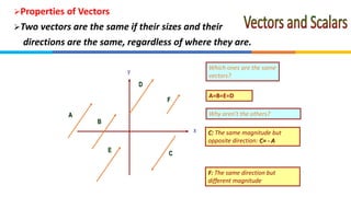3_Vectors-and-Scalars.pdf science technology engineering and ...