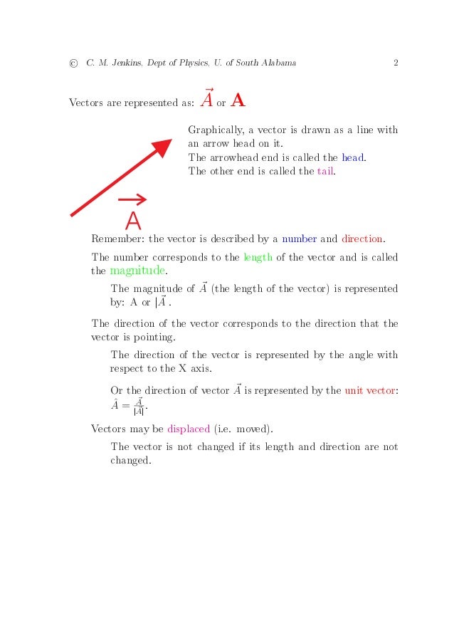 3 Vectors And Scalar